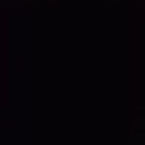 Meet your Posher, Bobunnie